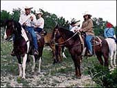Cowboys Cowboys