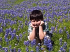 Burnet County Bluebonnets by Nick Carter 10 08 Burnet County Bluebonnets by Nick Carter 10 08