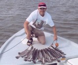 Lots of fish! Lots of fish!
