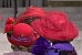 Red Hatters Red Hatters