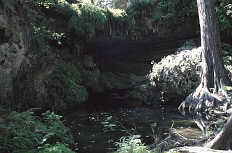 Westcave Preserve Westcave Preserve